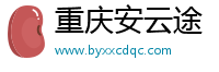 重庆安云途